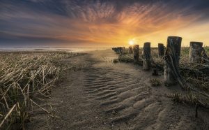 "Naturen tæt på" Workshop - Landskabsbilleder i Vadehavet af Lars Roed