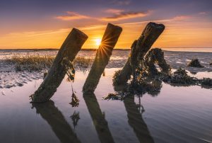 "Naturen tæt på" Workshop - Landskabsbilleder i Vadehavet af Lars Roed