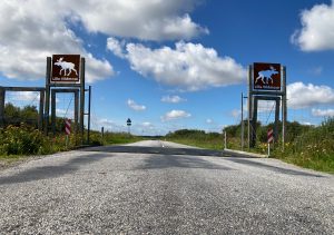 "Naturen tæt på "Lille Vildmose af Jørgen D. Vestergaard