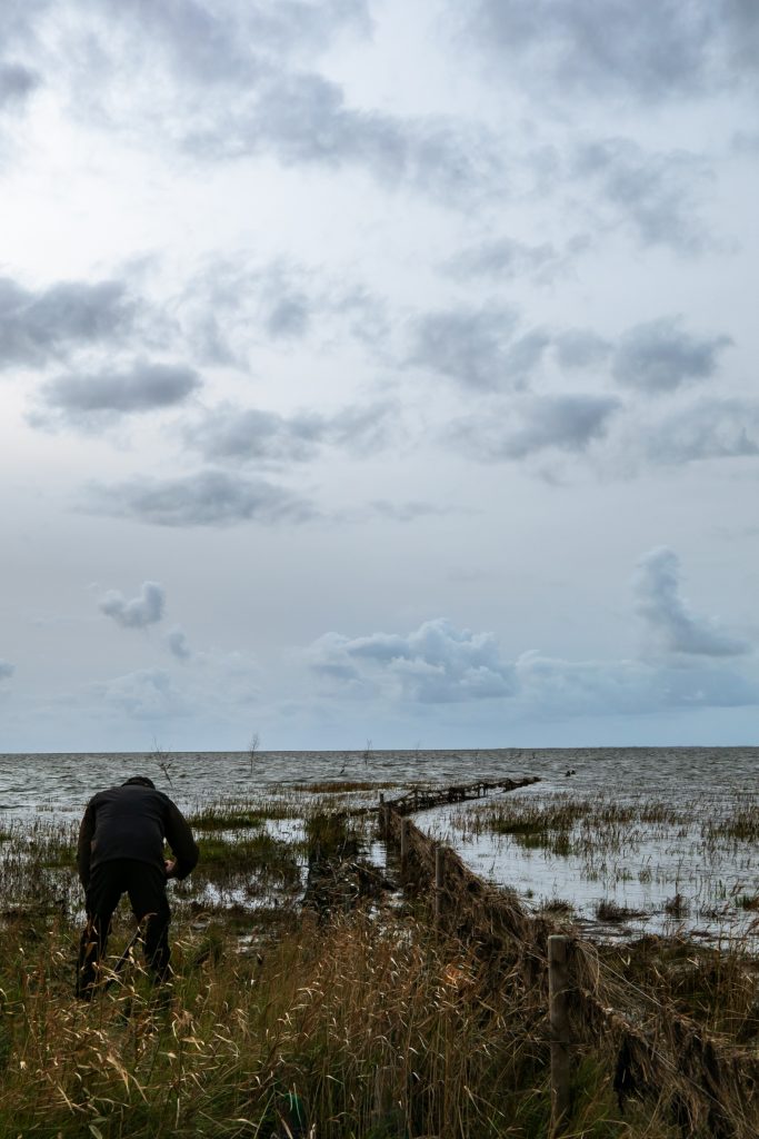 "Naturen tæt på" Workshop ved Vadehavet med Lars Roed af Henrik Hansen