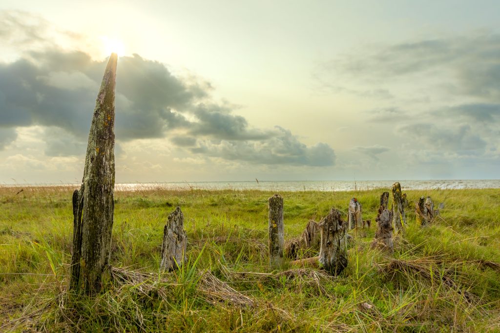 "Naturen tæt på" Workshop ved Vadehavet med Lars Roed af Mogens Christensen