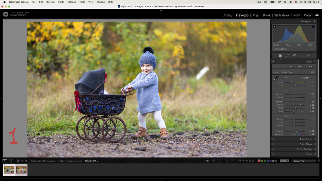 Grundlæggende justeringer lavet i Lightroom Classic. Komposit af Kim Andersen