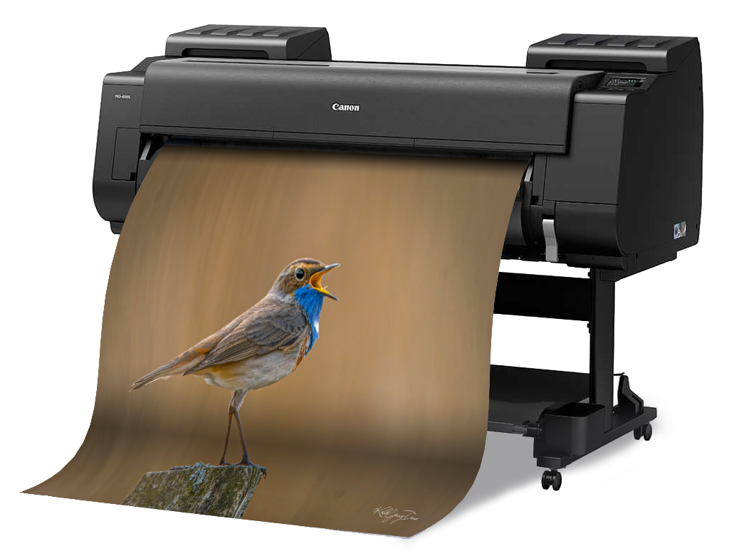 Print Masterclass med Keld Ejsing-Duun, Canon imagePROGRAF PRO-4100