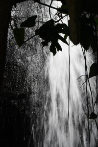 dsc_2516 dsc_2516