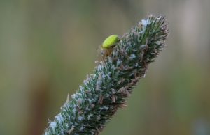DSC_8027 DSC_8027