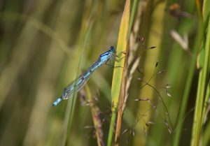DSC_8042 DSC_8042