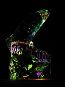 IMG_1461_0121 IMG_1461_0121