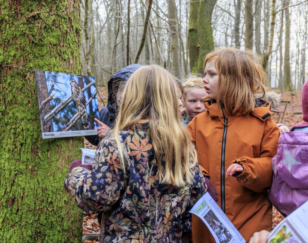 Indvielse af "Naturen tæt på" udstilling i Løvbakke Dyrehave februar 2023 af Jørgen D. Vestergaard