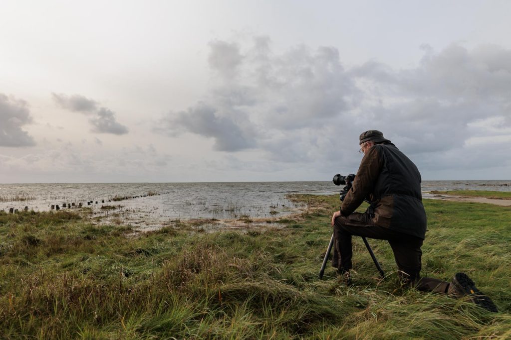 "Naturen tæt på" Workshop ved Vadehavet med Lars Roed af Jørgen D. Vestergaard
